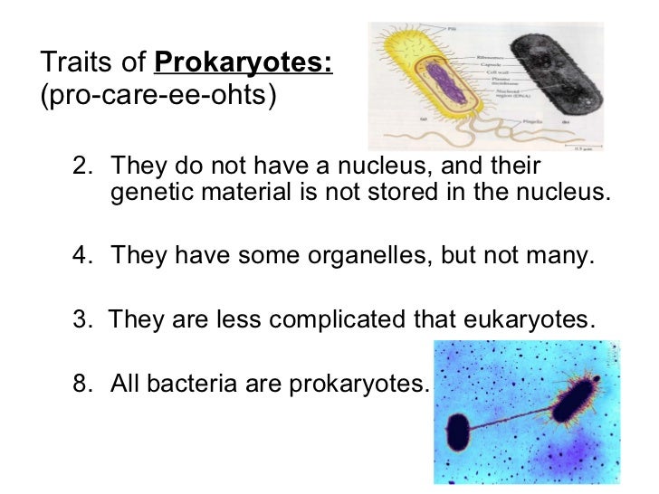 Two Types Of Cells - Eukaryotic and Prokaryotic Cells