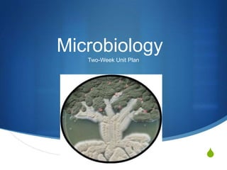 Microbiology
   Two-Week Unit Plan




                        S
 