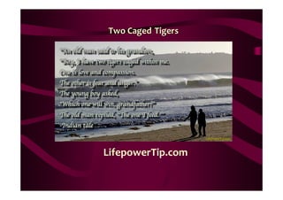 Two Caged Tigers




LifepowerTip.com
 