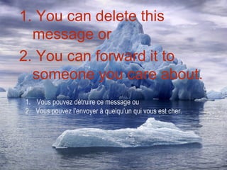 1. You can delete this
  message or
2. You can forward it to
  someone you care about.
1. Vous pouvez détruire ce message ou
2. Vous pouvez l’envoyer à quelqu’un qui vous est cher.
 