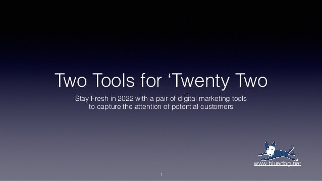 Two Tools for ‘Twenty Two
Stay Fresh in 2022 with a pair of digital marketing tools
to capture the attention of potential customers
1
www.bluedog.net
 