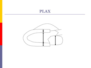 Plax Rvit With Color Two dimensional echocardiography | PPT