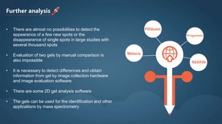 Further analysis
Melanie
PDQuest
Progenesis
REDFIN
• There are almost no possibilities to detect the
appearance of a few new spots or the
disappearance of single spots in large studies with
several thousand spots
• Evaluation of two gels by manual comparison is
also impossible
• It is necessary to detect differences and obtain
information from gel by image collection hardware
and image evaluation software
• There are some 2D gel analysis software
• The gels can be used for the identification and other
applications by mass spectrometry
 