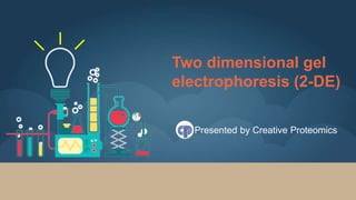 Two dimensional gel
electrophoresis (2-DE)
Presented by Creative Proteomics
 