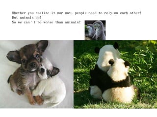 Whether you realize it nor not, people need to rely on each other!
But animals do!
So we can’t be worse than animals!
 