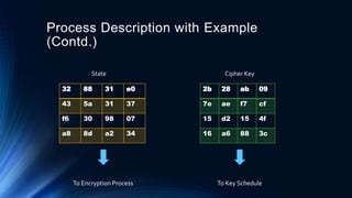 Two fish & Rijndael (AES) Encryption Algorithm | PPTX