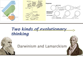 Two kinds of evolutionary
thinking
Darwinism and Lamarckism
 