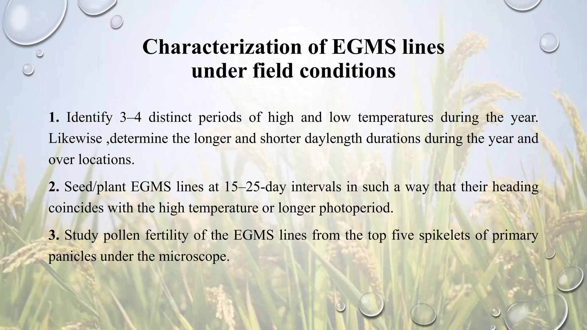 Characterization of EGMS lines
under field conditions
1. Identify 3–4 distinct periods of high and low temperatures during the year.
Likewise ,determine the longer and shorter daylength durations during the year and
over locations.
2. Seed/plant EGMS lines at 15–25-day intervals in such a way that their heading
coincides with the high temperature or longer photoperiod.
3. Study pollen fertility of the EGMS lines from the top five spikelets of primary
panicles under the microscope.
 