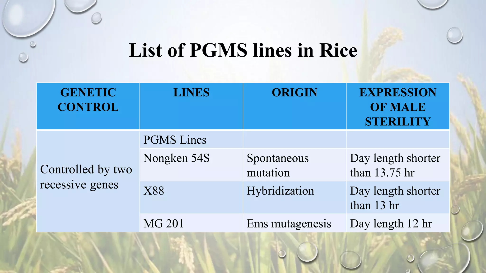 List of PGMS lines in Rice
GENETIC
CONTROL
LINES ORIGIN EXPRESSION
OF MALE
STERILITY
Controlled by two
recessive genes
PGMS Lines
Nongken 54S Spontaneous
mutation
Day length shorter
than 13.75 hr
X88 Hybridization Day length shorter
than 13 hr
MG 201 Ems mutagenesis Day length 12 hr
 