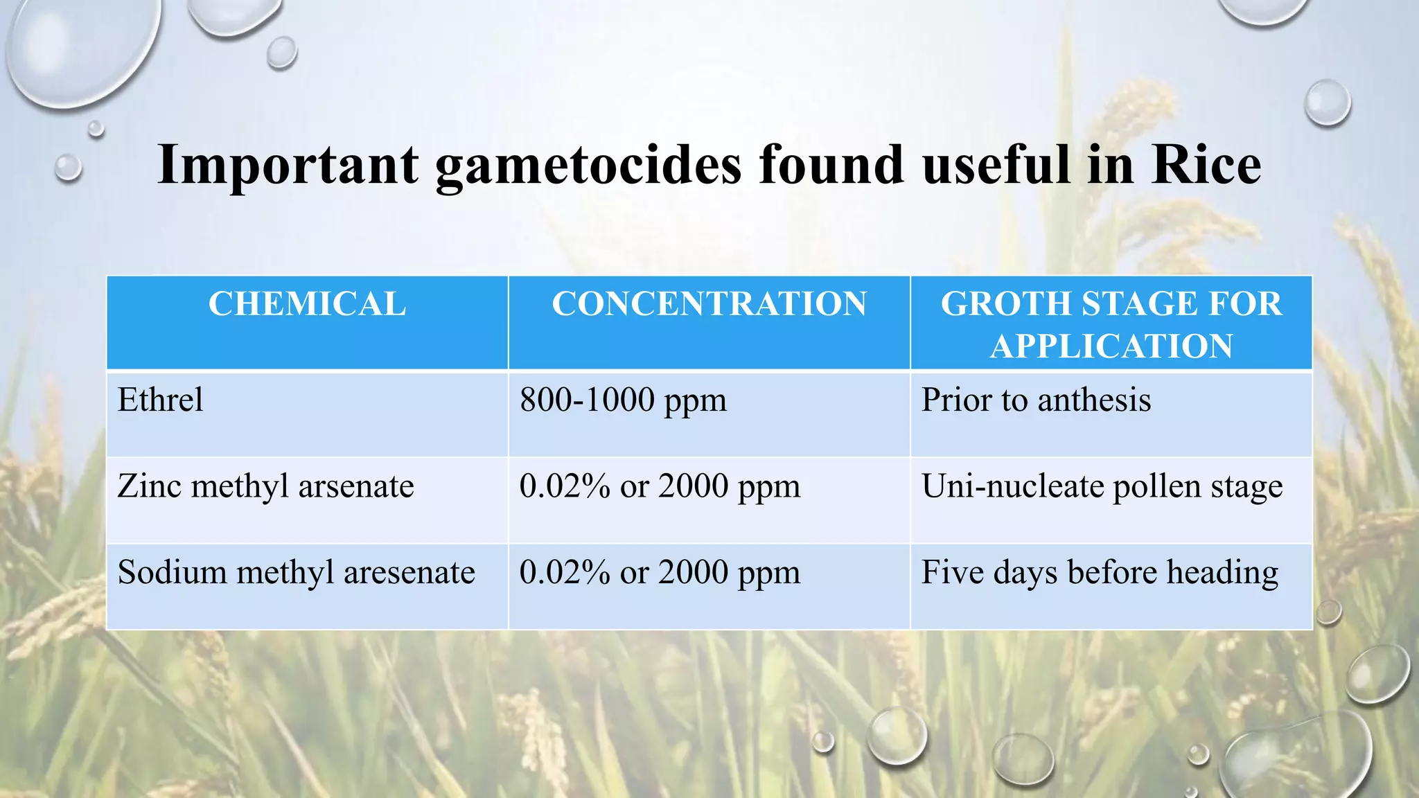 Important gametocides found useful in Rice
CHEMICAL CONCENTRATION GROTH STAGE FOR
APPLICATION
Ethrel 800-1000 ppm Prior to anthesis
Zinc methyl arsenate 0.02% or 2000 ppm Uni-nucleate pollen stage
Sodium methyl aresenate 0.02% or 2000 ppm Five days before heading
 