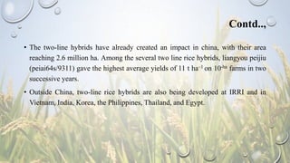Two line breeding in RICE | PPTX