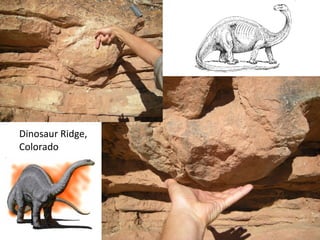 Dinosaur Ridge, Colorado 