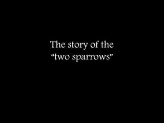 The story of the
“two sparrows”
 
