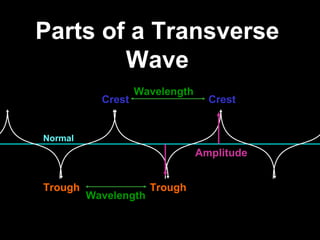 Transverse waves
• Waves in the electromagnetic spectrum
  are Transverse Waves
 