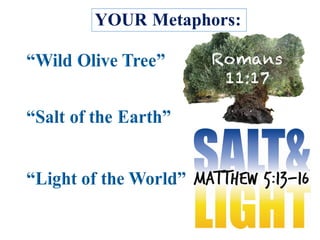 YOUR Metaphors:
Romans
11:17
 