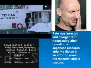 Pete was arrested and charged with trespassing after boarding a Japanese research ship. He did so in an effort to arrest the research ship’s captain.   