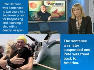 Pete Bethune was sentenced to two years in a Japanese prison for trespassing and boarding a ship with a deadly weapon. The sentence was later suspended and Pete was freed back to America. 