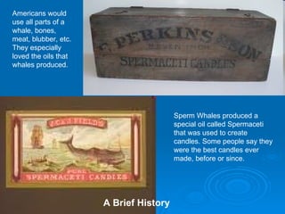 Americans would use all parts of a whale, bones, meat, blubber, etc. They especially loved the oils that whales produced. Sperm Whales produced a special oil called Spermaceti that was used to create candles. Some people say they were the best candles ever made, before or since.  A Brief History 