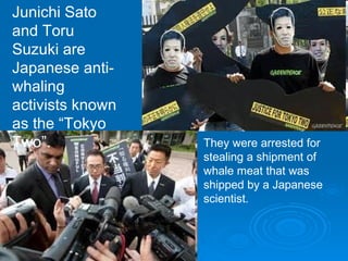Junichi Sato and Toru Suzuki are Japanese anti-whaling activists known as the “Tokyo Two”. They were arrested for stealing a shipment of whale meat that was shipped by a Japanese scientist. 