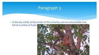  In the sky world, at the center of the universe, was an untouchable tree
full of a variety of fruits.
Paragraph 3
 