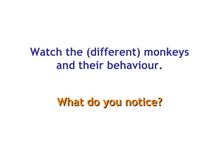 Watch the (different) monkeys and their behaviour. What do you notice?