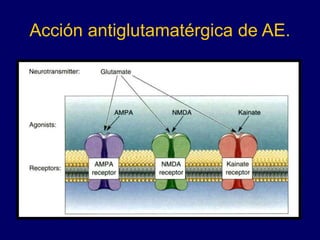 Acción antiglutamatérgica de AE.
 