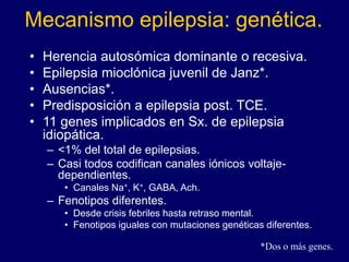 Mecanismo epilepsia: genética.
• Herencia autosómica dominante o recesiva.
• Epilepsia mioclónica juvenil de Janz*.
• Ausencias*.
• Predisposición a epilepsia post. TCE.
• 11 genes implicados en Sx. de epilepsia
idiopática.
– <1% del total de epilepsias.
– Casi todos codifican canales iónicos voltaje-
dependientes.
• Canales Na+, K+, GABA, Ach.
– Fenotipos diferentes.
• Desde crisis febriles hasta retraso mental.
• Fenotipos iguales con mutaciones genéticas diferentes.
*Dos o más genes.
 