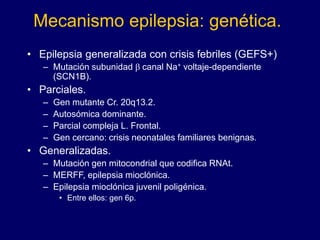 Mecanismo epilepsia: genética.
• Epilepsia generalizada con crisis febriles (GEFS+)
– Mutación subunidad b canal Na+ voltaje-dependiente
(SCN1B).
• Parciales.
– Gen mutante Cr. 20q13.2.
– Autosómica dominante.
– Parcial compleja L. Frontal.
– Gen cercano: crisis neonatales familiares benignas.
• Generalizadas.
– Mutación gen mitocondrial que codifica RNAt.
– MERFF, epilepsia mioclónica.
– Epilepsia mioclónica juvenil poligénica.
• Entre ellos: gen 6p.
 
