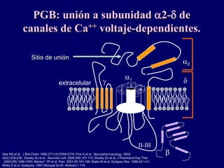 I
II
III
IV
b
a1
extracelular
II-III
g
a2
Sitio de unión
PGB: unión a subunidad a2-d de
canales de Ca++ voltaje-dependientes.
d
Gee NS et al. J Biol Chem 1996;271(10):5768-5776; Fink K et al. Neuropharmacology. 2002;
42(2):229-236; Dooley DJ et al. Neurosci Lett. 2000:280:107-110; Dooley DJ et al. J Pharmacol Exp Ther
. 2000;295:1086-1093; Maneuf YP et al. Pain. 2001;93:191-196; Bialer M et al. Epilepsy Res. 1999;34:1-41;
Welty D et al. Epilepsia. 1997;38(suppl 8):35. Abstract 1.110.
 