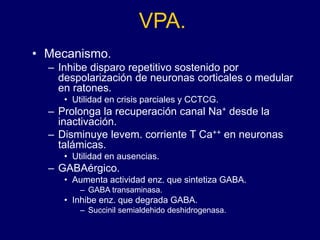 VPA.
• Mecanismo.
– Inhibe disparo repetitivo sostenido por
despolarización de neuronas corticales o medular
en ratones.
• Utilidad en crisis parciales y CCTCG.
– Prolonga la recuperación canal Na+ desde la
inactivación.
– Disminuye levem. corriente T Ca++ en neuronas
talámicas.
• Utilidad en ausencias.
– GABAérgico.
• Aumenta actividad enz. que sintetiza GABA.
– GABA transaminasa.
• Inhibe enz. que degrada GABA.
– Succinil semialdehido deshidrogenasa.
 