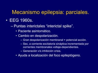 Mecanismo epilepsia: parciales.
• EEG 1960s.
– Puntas interictales “interictal spike”.
• Paciente asintomático.
• Cambio en despolarización.
– Gran despolarización membranal + potencial acción.
– Sec. a corriente excitatoria sináptica incrementada por
corrientes membranales voltaje-dependientes.
– Generación v/s inhibición crisis.
• Ayuda a localización del foco epileptógeno.
 
