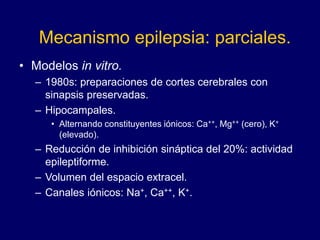 Mecanismo epilepsia: parciales.
• Modelos in vitro.
– 1980s: preparaciones de cortes cerebrales con
sinapsis preservadas.
– Hipocampales.
• Alternando constituyentes iónicos: Ca++, Mg++ (cero), K+
(elevado).
– Reducción de inhibición sináptica del 20%: actividad
epileptiforme.
– Volumen del espacio extracel.
– Canales iónicos: Na+, Ca++, K+.
 