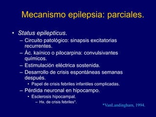 Mecanismo epilepsia: parciales.
• Status epilepticus.
– Circuito patológico: sinapsis excitatorias
recurrentes.
– Ác. kaínico o pilocarpina: convulsivantes
químicos.
– Estimulación eléctrica sostenida.
– Desarrollo de crisis espontáneas semanas
después.
• Papel de crisis febriles infantiles complicadas.
– Pérdida neuronal en hipocampo.
• Esclerosis hipocampal.
– Hx. de crisis febriles*.
*VanLandingham, 1994.
 