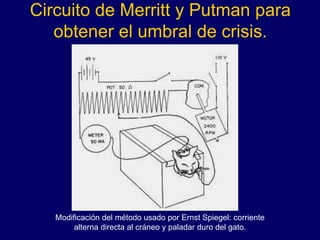 Circuito de Merritt y Putman para
obtener el umbral de crisis.
Modificación del método usado por Ernst Spiegel: corriente
alterna directa al cráneo y paladar duro del gato.
 