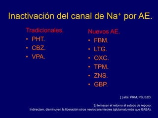 Inactivación del canal de Na+ por AE.
Tradicionales.
• PHT.
• CBZ.
• VPA.
Nuevos AE.
• FBM.
• LTG.
• OXC.
• TPM.
• ZNS.
• GBP.
[ ] alta: PRM, PB, BZD.
Enlentecen el retorno al estado de reposo.
Indirectam. disminuyen la liberación otros neurotransmisores (glutamato más que GABA).
 