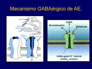 Mecanismo GABAérgico de AE.
 