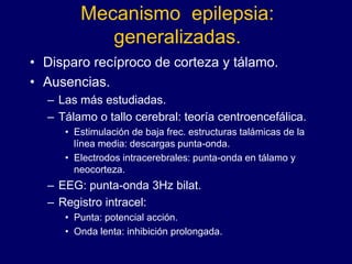 Mecanismo epilepsia:
generalizadas.
• Disparo recíproco de corteza y tálamo.
• Ausencias.
– Las más estudiadas.
– Tálamo o tallo cerebral: teoría centroencefálica.
• Estimulación de baja frec. estructuras talámicas de la
línea media: descargas punta-onda.
• Electrodos intracerebrales: punta-onda en tálamo y
neocorteza.
– EEG: punta-onda 3Hz bilat.
– Registro intracel:
• Punta: potencial acción.
• Onda lenta: inhibición prolongada.
 