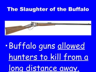 The Slaughter of the Buffalo Buffalo guns  allowed hunters to kill from a long distance away. 
