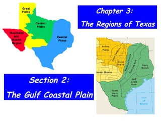 Chapter 3:  The Regions of Texas Section 2: The Gulf Coastal Plain 