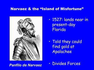 Narvaez & the “Island of Misfortune” 1527: lands near in present-day Florida Told they could find gold at Apalachee Divides Forces Panfilo de Narvaez 