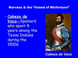 Narvaez & the “Island of Misfortune” Cabeza de Vaca— Spaniard   who spent 8 years among the Texas Indians during the 1500s Cabeza de Vaca 