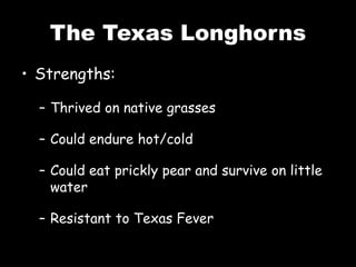 The Texas Longhorns
• Strengths:
– Thrived on native grasses
– Could endure hot/cold
– Could eat prickly pear and survive on little
water
– Resistant to Texas Fever
 