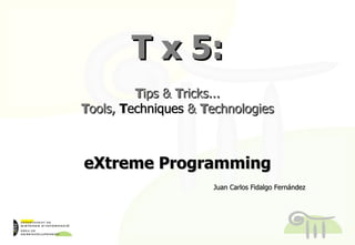 T x 5: T ips &  T ricks... T ools,  T echniques &  T echnologies eXtreme Programming Juan Carlos Fidalgo Fernández T echniques 