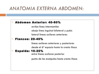 ANATOMIA EXTERNA ABDOMEN: Abdomen Anterior: 40-60% arriba línea intermamilar abajo línea inguinal bilateral y pubis lateral líneas axilares anteriores Flancos: 20-40% líneas axilares anteriores y posteriores desde el 6º espacio hasta la cresta iliaca Espalda: 10-20% entre líneas axilares posterior punta de las escápulas hasta cresta iliaca 