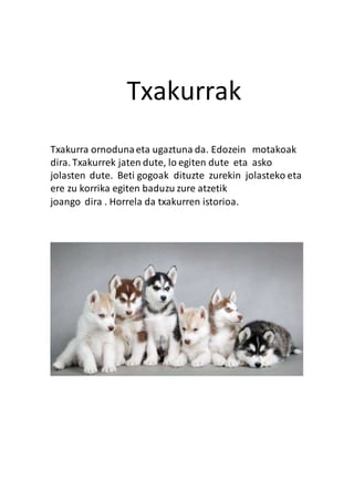 Txakurrak
Txakurra ornodunaeta ugaztuna da. Edozein motakoak
dira. Txakurrek jaten dute, lo egiten dute eta asko
jolasten dute. Beti gogoak dituzte zurekin jolasteko eta
ere zu korrika egiten baduzu zure atzetik
joango dira . Horrela da txakurren istorioa.
 