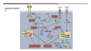 INMUNOTERAPI
A
 