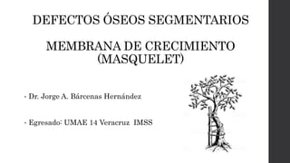 DEFECTOS ÓSEOS SEGMENTARIOS
MEMBRANA DE CRECIMIENTO
(MASQUELET)
• Dr. Jorge A. Bárcenas Hernández
• Egresado: UMAE 14 Veracruz IMSS
 