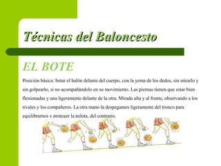 Técnicas del BaloncestoTécnicas del Baloncesto
EL BOTE
Posición básica: botar el balón delante del cuerpo, con la yema de los dedos, sin mirarlo y
sin golpearlo, si no acompañándolo en su movimiento. Las piernas tienen que estar bien
flexionadas y una ligeramente delante de la otra. Mirada alta y al frente, observando a los
rivales y los compañeros. La otra mano la despegamos ligeramente del tronco para
equilibrarnos y proteger la pelota, del contrario.
 