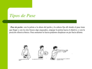 Tipos de Pase
Pase de pecho: con la pelota a la altura del pecho y la cabeza fija allí donde el pase tiene
que llegar y con los dos brazos algo arqueados, empujar la pelota hacía el objetivo, y con la
posición ofensiva básica. Para aumentar la fuerza podemos desplazar un pie hacía delante.
 