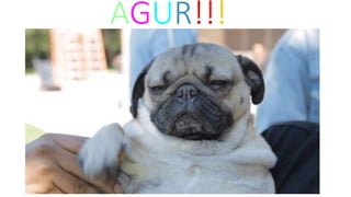 AGUR!!!
 